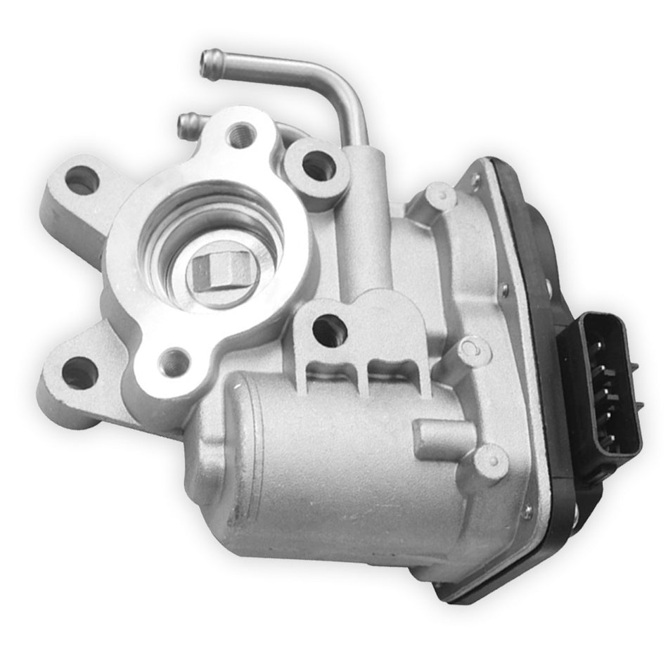 Nissan Patrol GU / Y61 (2007 - 2016) 3.0L EGR Valve + Gasket