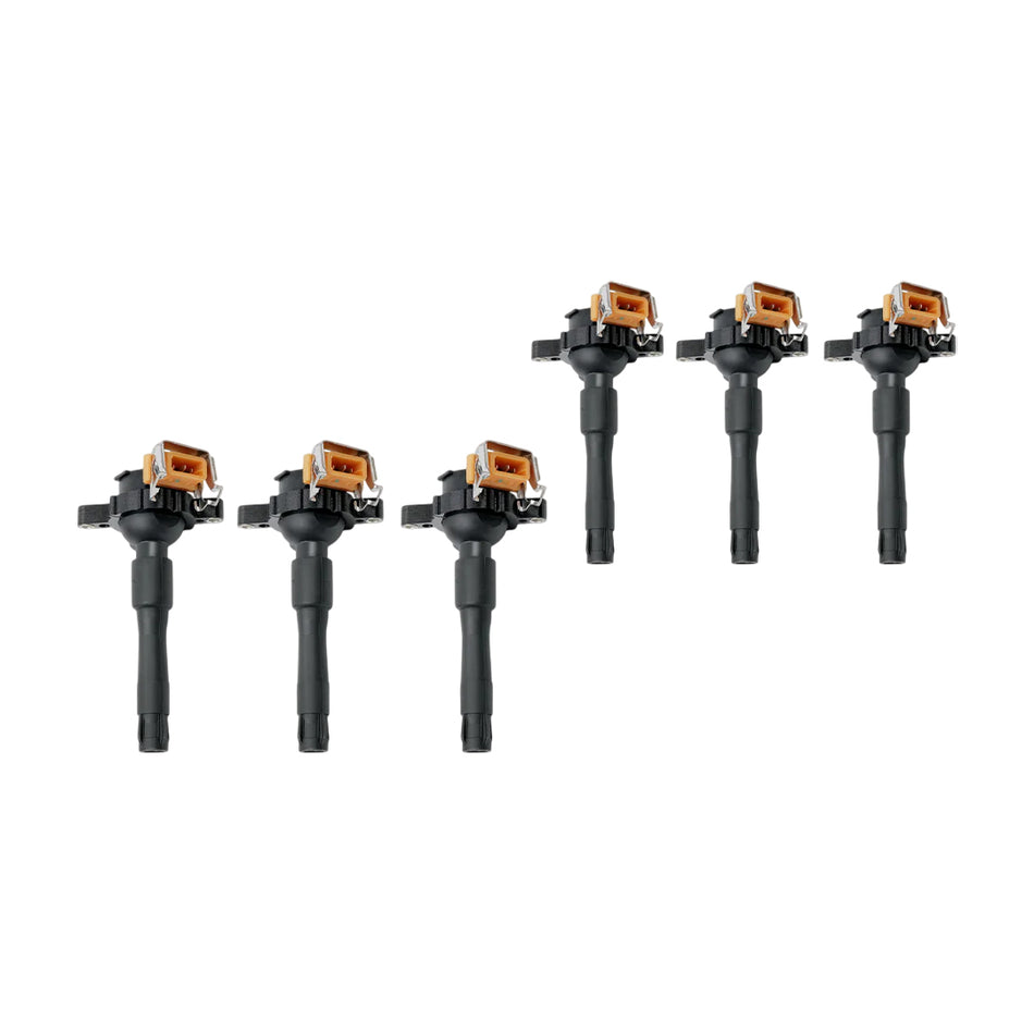 BMW 5 Series E39 / E53 (1997 - 2003) 2.5L / 2.8L / 3.0L / 4.4L Ignition Coils and Spark Plugs Complete Set