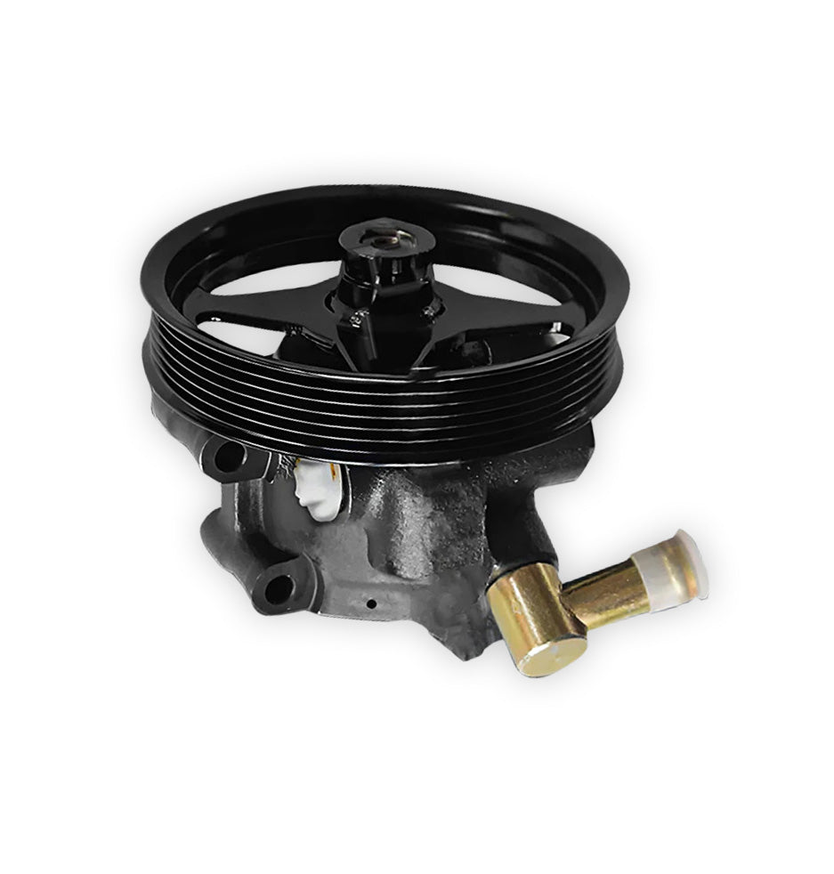 Ford Falcon BA / BF (2002 - 2011) 5.4L 8cyl. Power Steering Pump and Pulley Set